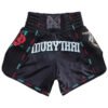 Muay Thai 11 100x100