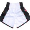 Muay Thai 5 100x100