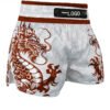 Thai Shorts 13 100x100