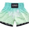 Thai Shorts 9 100x100